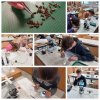 lets study bees 1